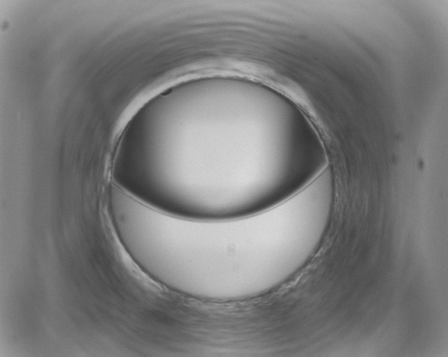 X0000082711524200701260942