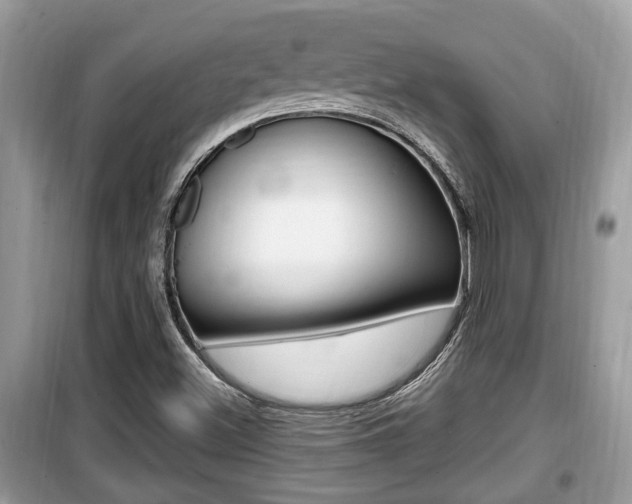 X0000099931500200805230948