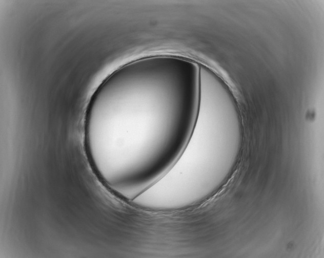 X0000099931512200805230948