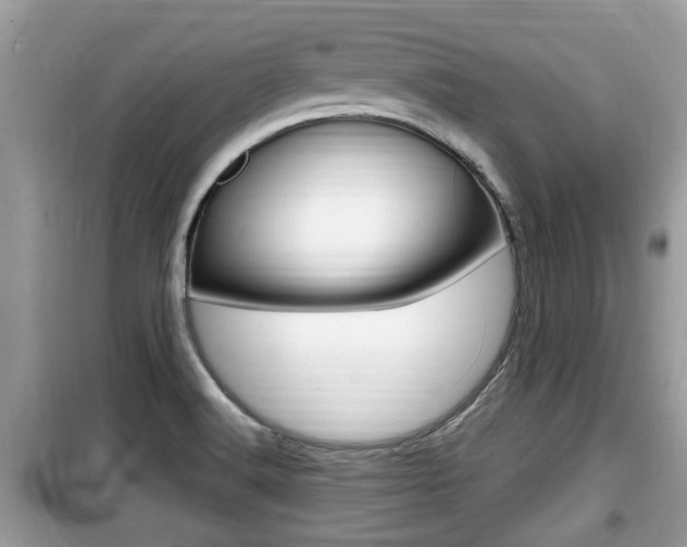 X0000099931516200805230948