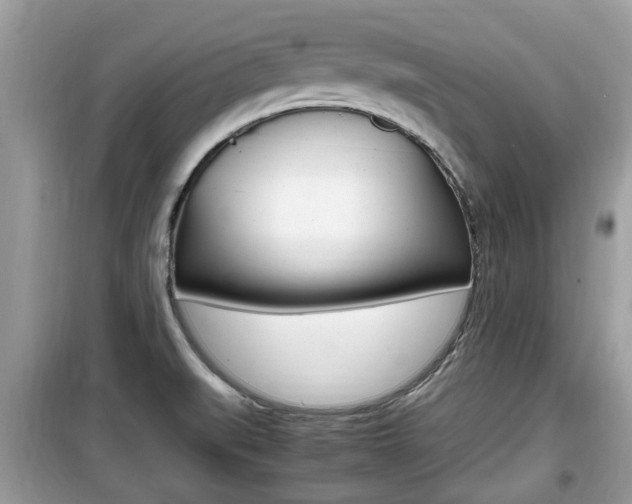 X0000099931519200805230948