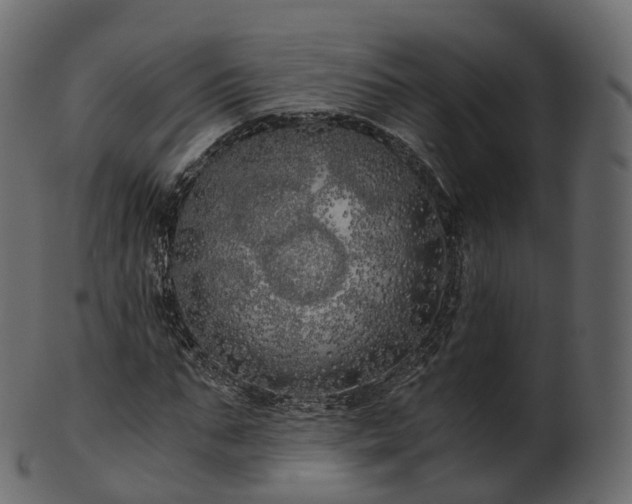 X0000101120871200807031801