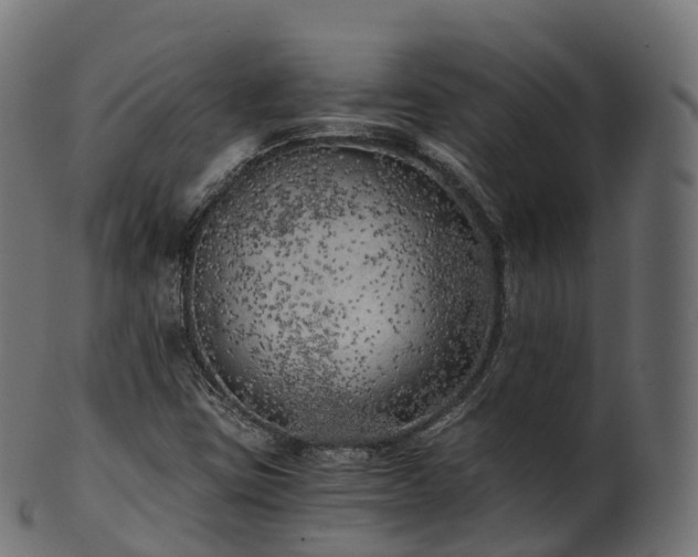 X0000101121403200807031753