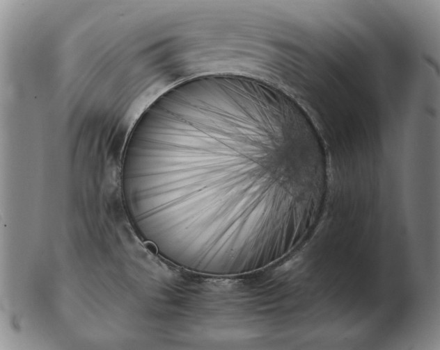 X0000103431529200809191649