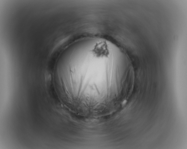 X0000113891302200910011314