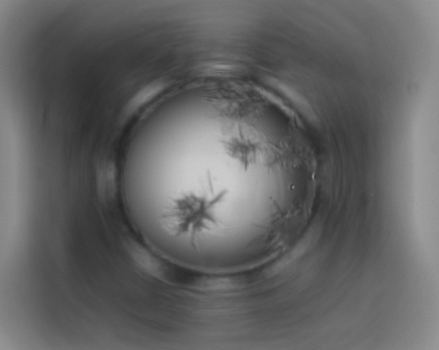 X0000113891402200910011313