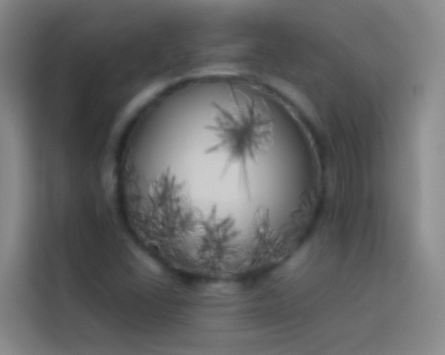 X0000113891406200910011313