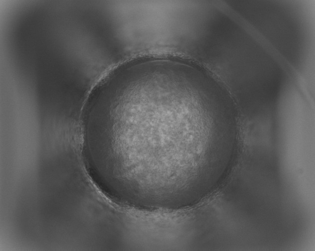 X0000050170016200506031240