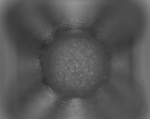 X0000050170173200506031238