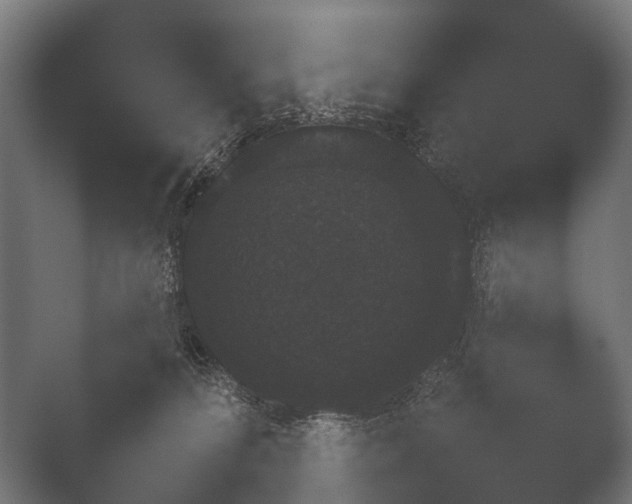 X0000050170224200506031237