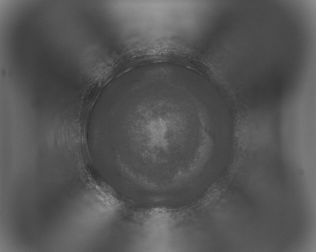 X0000050170261200506031236