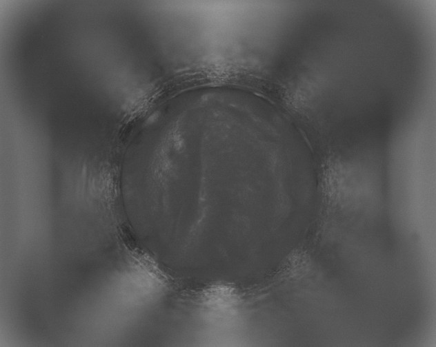 X0000050170266200506031236