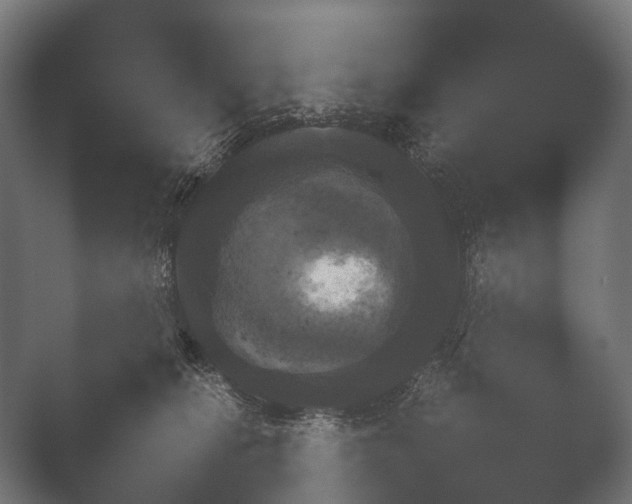 X0000050170276200506031236