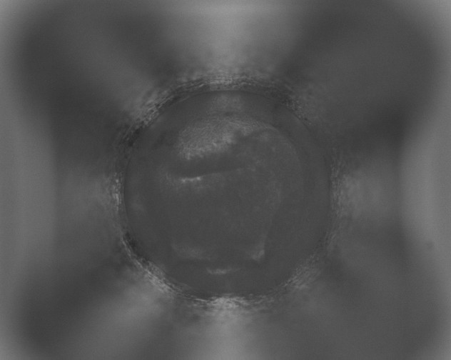 X0000050170277200506031236