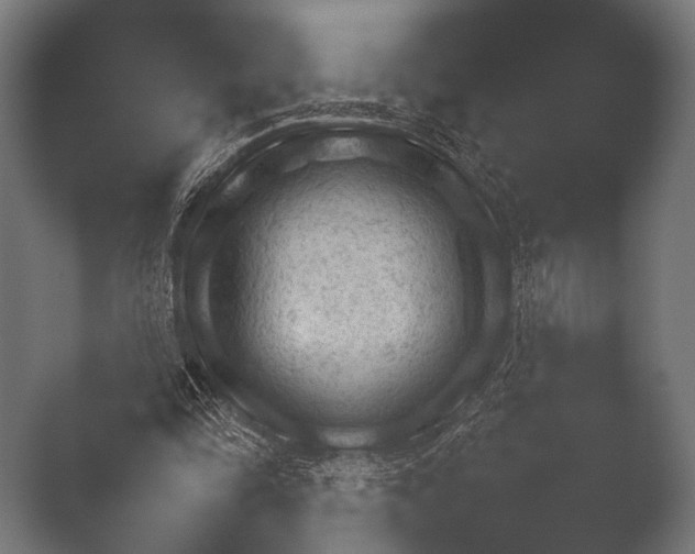 X0000050170294200506031236