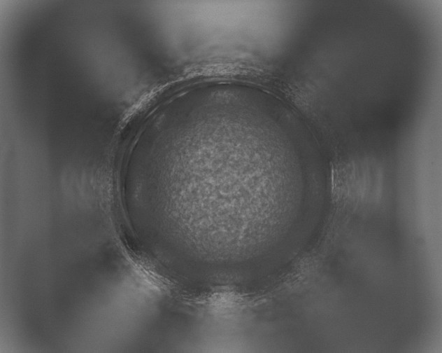 X0000050170348200506031234