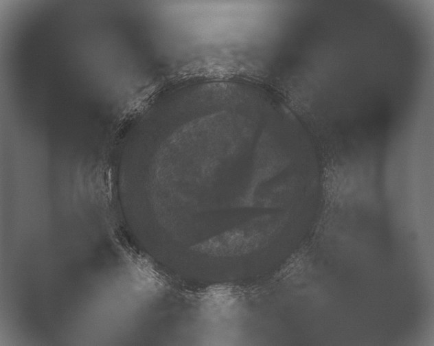 X0000050170358200506031234
