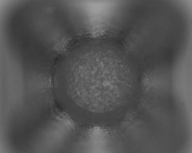 X0000050170565200506031231