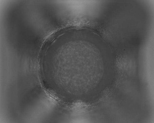 X0000050170587200506031231