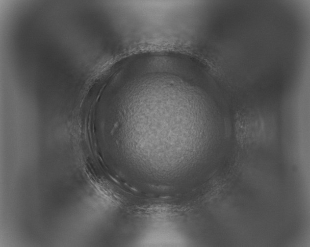 X0000050170631200506031229
