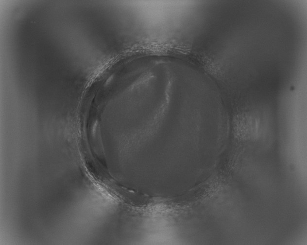 X0000050170634200506031229
