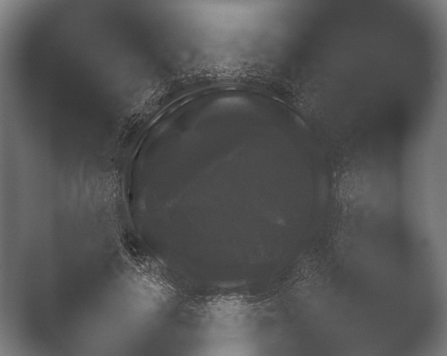 X0000050170643200506031230