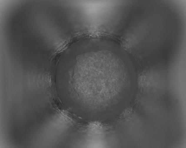 X0000050170666200506031230