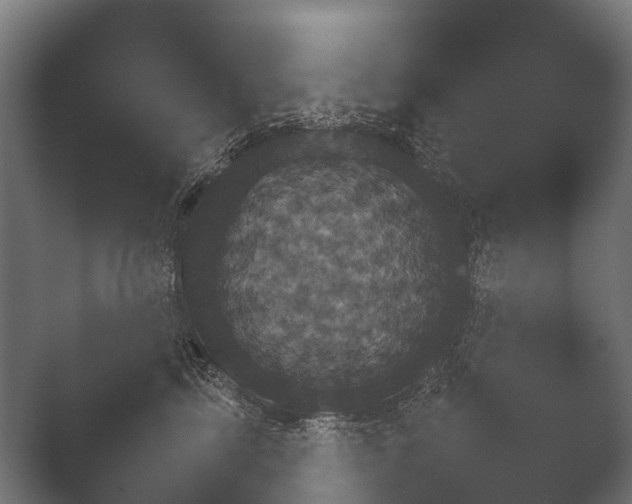 X0000050170713200506031229
