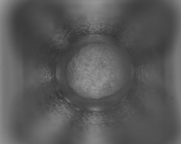 X0000050170962200506031224