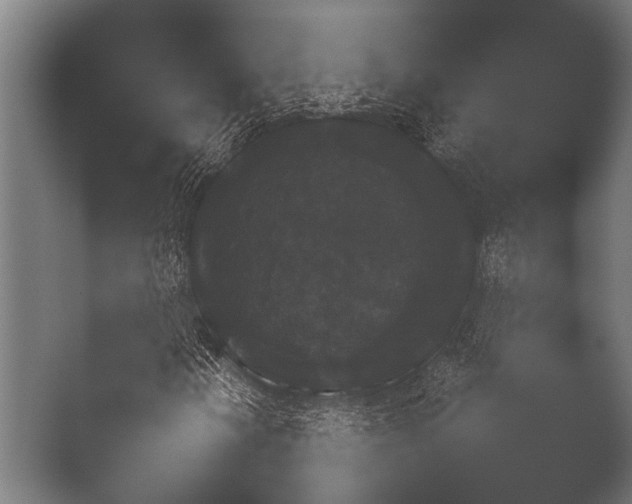 X0000050171202200506031219