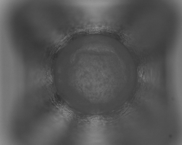X0000050171252200506031219