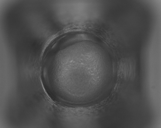X0000050270003200506091350