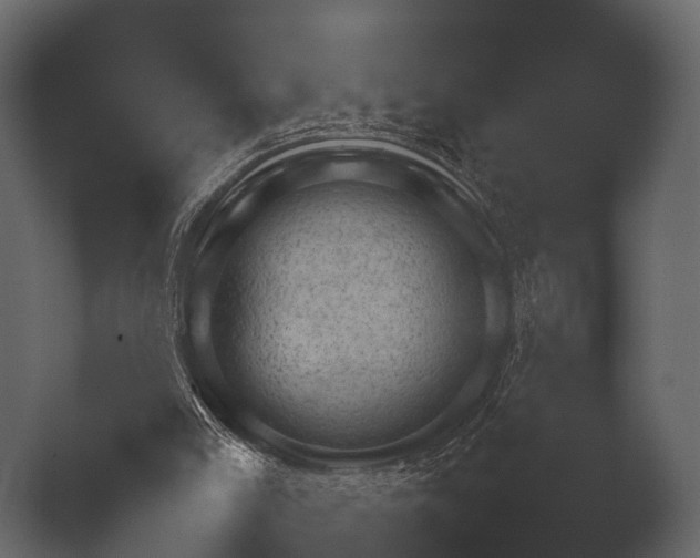 X0000050270005200506091350