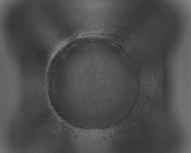 X0000050270006200506091350