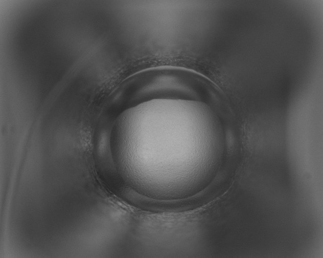 X0000050270033200506091349