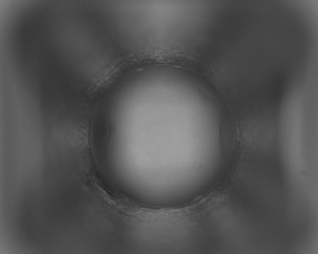X0000050270036200506091349