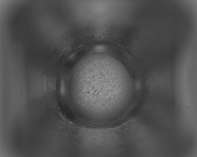 X0000050270044200506091349