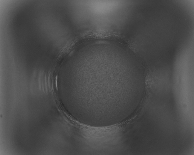 X0000050270046200506091349