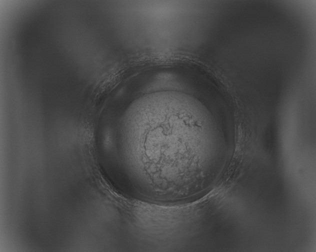 X0000050270048200506091349
