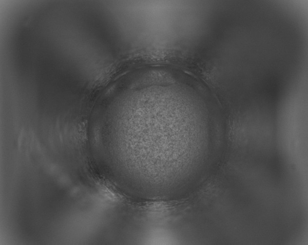 X0000050270091200506091349