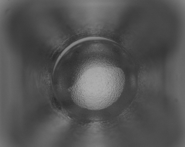 X0000050270172200506091347