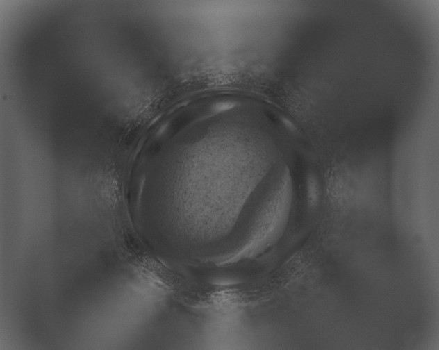 X0000050270219200506091346