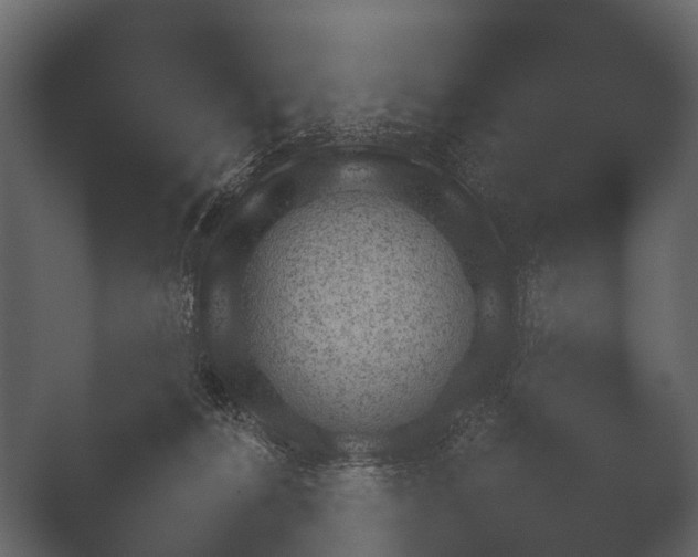X0000050270228200506091346