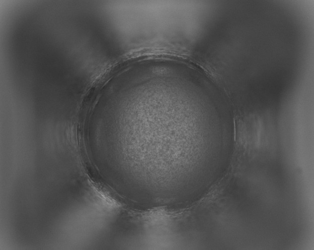 X0000050270253200506091345