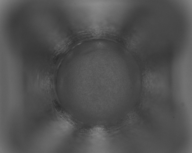 X0000050270266200506091346