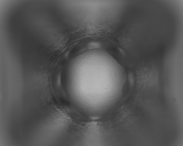 X0000050270269200506091346
