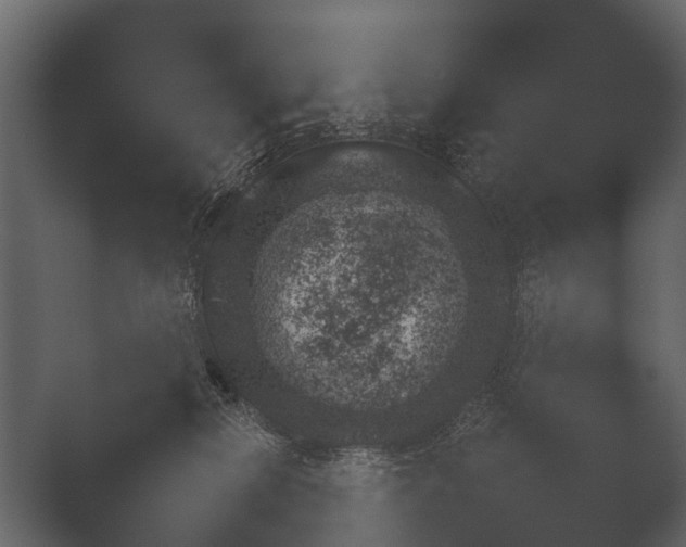 X0000050270278200506091346
