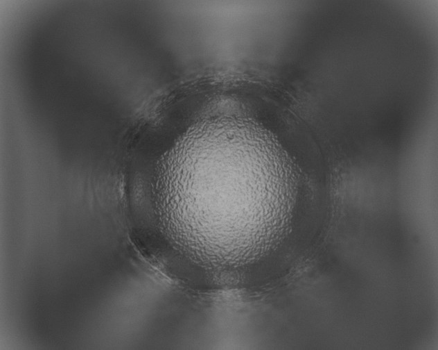 X0000050270281200506091346