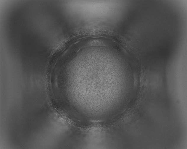 X0000050270306200506091345