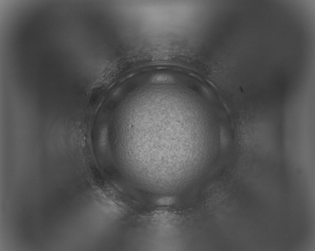 X0000050270311200506091345